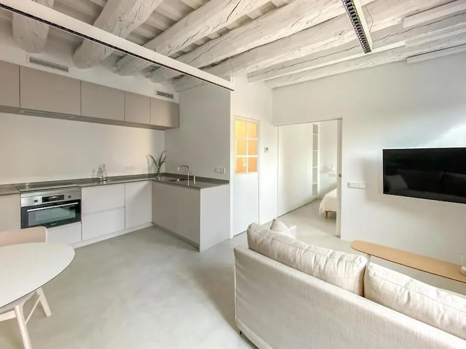 Lively 1 Bdr Apartment With Private Terrace Born 巴塞罗那